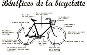 Mots Croises et Détente chez Muse