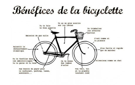 Mots Croises et Détente chez Muse